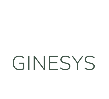 GinesysOne